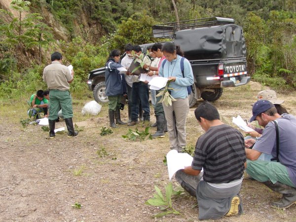 Protocolización de VEHÍCULOS para Tareas de Investigación